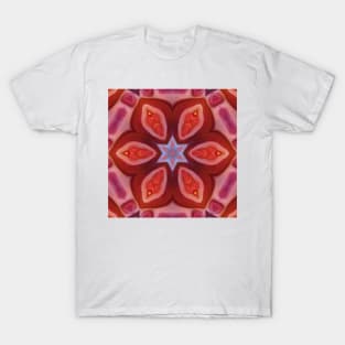 scarlet and red hexagonal intricate kaleidoscope floral fantasy design T-Shirt